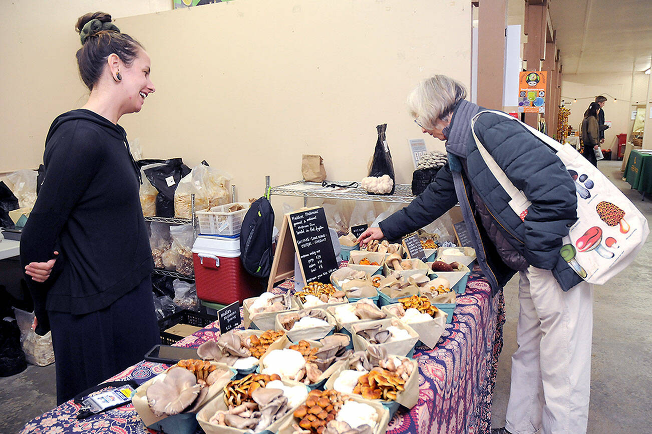 KEITH THORPE/PENINSULA DAILY NEWS
Shana Rogers of Port Angeles-based Maddie's Mushrooms, left, talks about her products as Linda Dilan of Port Angeles makes a selection on Friday at the three-day Olympic Peninsula Fungi Festival. The event, centered at the Clallam County Fairgrounds in Port Angeles with additional activities at the Dungeness River Nature Center in Sequim on Sunday, featured a variety of mycology topics and vendors, along with numerous lectures, workshops and entertainment.