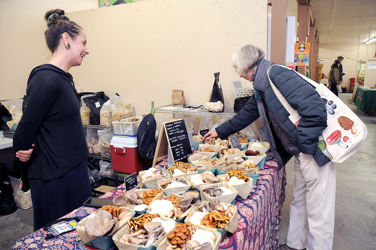 Shana Rogers of Port Angeles-based Maddie’s Mushrooms, left, talks about her products as Linda Dilan of Port Angeles makes a selection on Friday at the three-day Olympic Peninsula Fungi Festival. The event, centered at the Clallam County Fairgrounds in Port Angeles with additional activities at the Dungeness River Nature Center in Sequim on Sunday, featured a variety of mycology topics and vendors, along with numerous lectures, workshops and entertainment. (KEITH THORPE/PENINSULA DAILY NEWS)