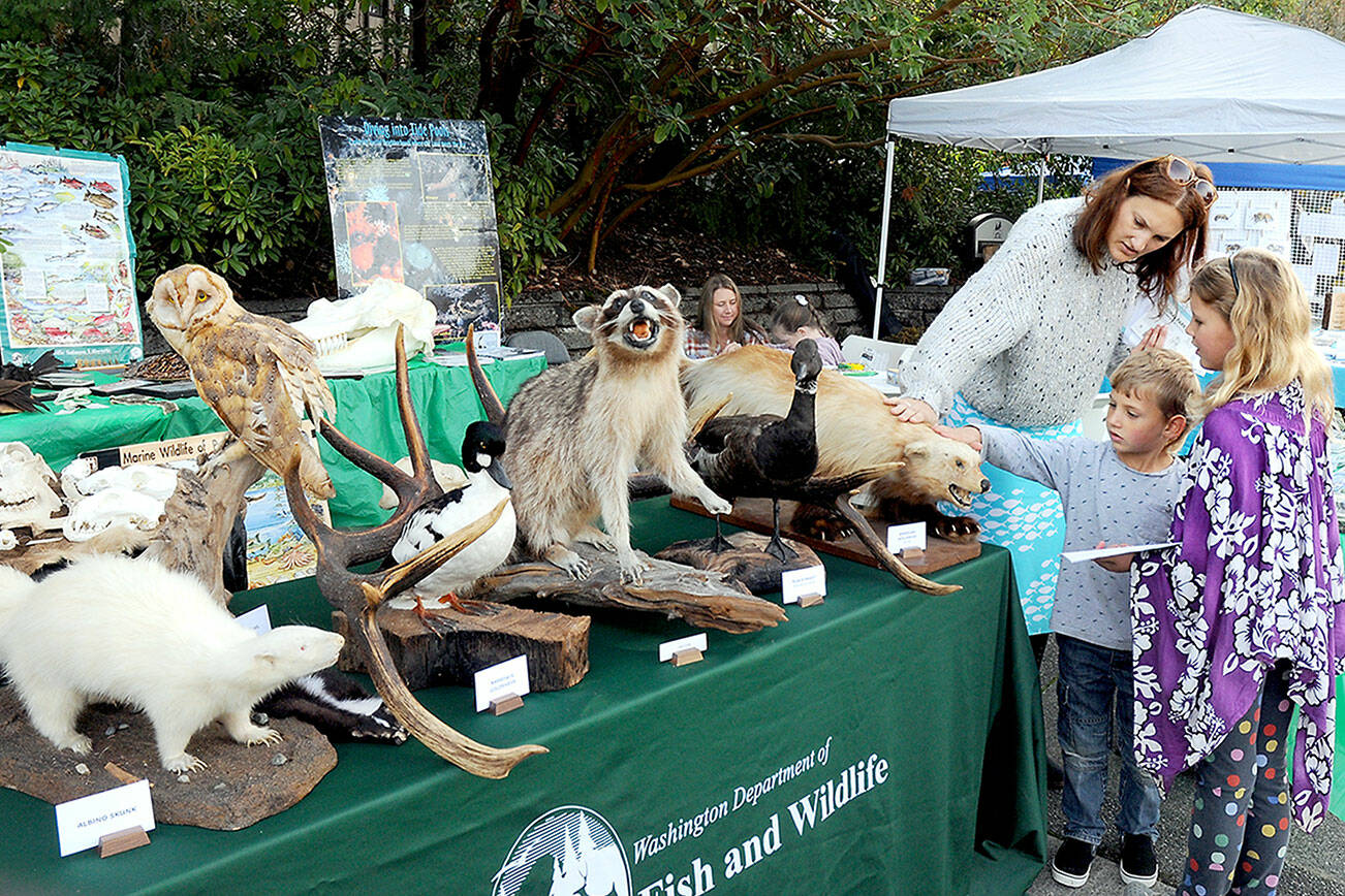 Kara Cardinal of Chimacum and her children, Oliver Cardinal, 4, and Maya Cardinal, 8, examine taxidermy animal specimens at a display assembled by the Washington Department of Fish and Wildlife at Saturday’s Forever Streamfest on the Port Angeles campus of Peninsula College. The event, hosted by the Port Angeles Garden Club and the Clallam County Conservation District, featured numerous displays, exhibits and hands-on activities to raise awareness of the environment and to preserve natural resources. (Keith Thorpe/Peninsula Daily News)