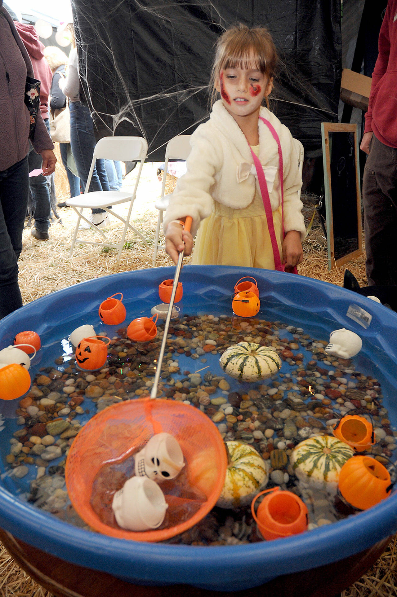Fern Ollerman, 7, of Sequim nets skulls in a fish tank hoping for treats during Saturday’s Scaredy Cats Howl-o-ween Fall Festival & Haunted House at the Olympic Peninsula Humane Society’s Kitty City campus near Carlsborg. The event featured food, music, treats and a variety of spooky decor, including an animatronic haunted house. The festival was a benefit for the society’s operations. (Keith Thorpe/Peninsula Daily News)