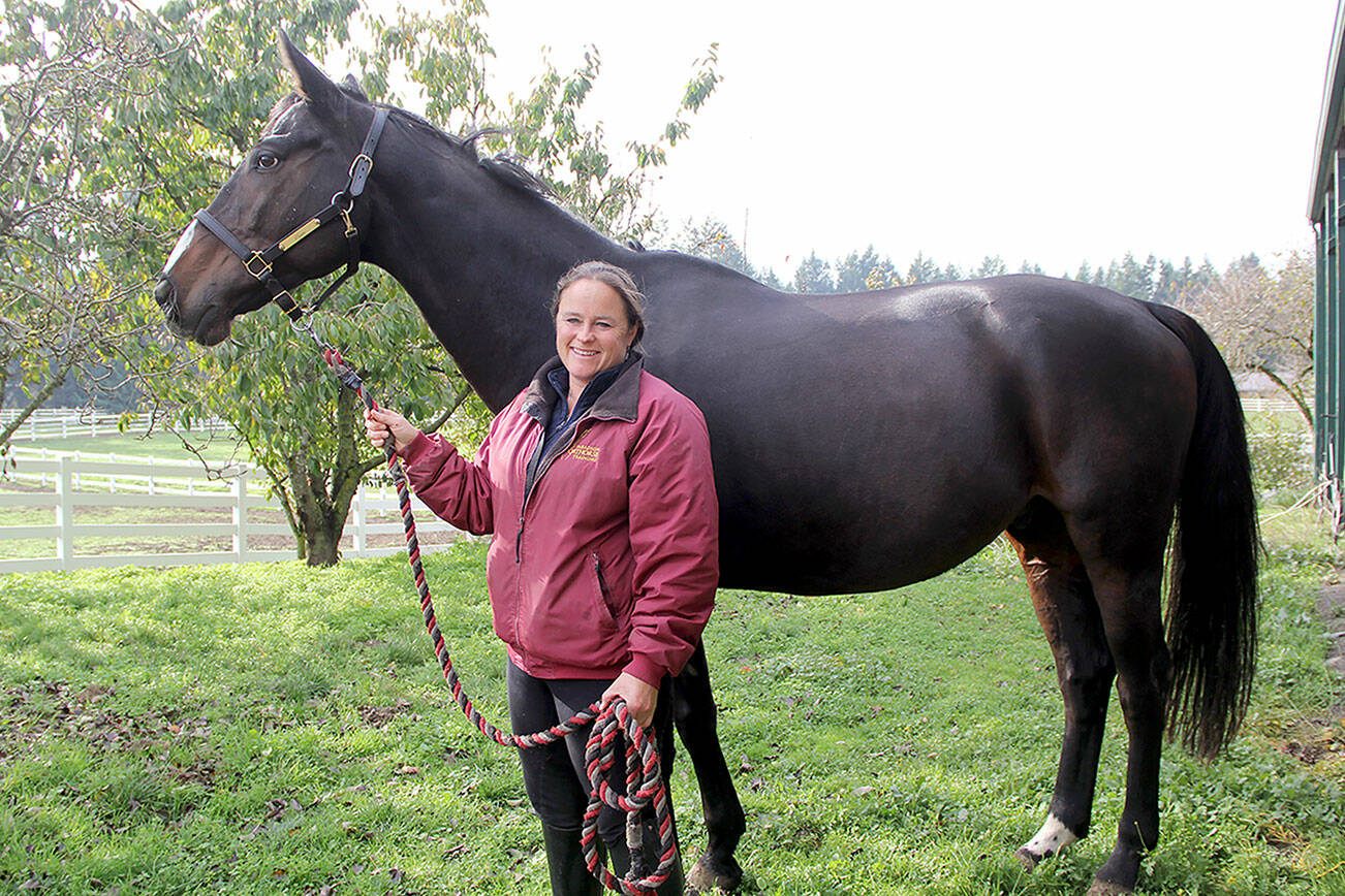 Photo by Karen Griffiths

Cutline: Paradigm Sporthorse Training owner Rebecca Cushman with Carcare, one of  11 horses she’s rescued from the war zones in Ukraine. The 17.1 hand Warmblood gelding with level 2 FEI training has gained about 200 pounds since his arrival in August. She said, “He’s  a well-trained and willing horse who loves to give hugs.”