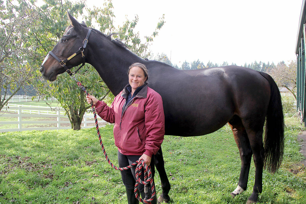 Paradigm Sporthorse Training owner Rebecca Cushman with Carcare, one of 11 horses she’s rescued from the war zones in Ukraine. The 17.1 hand Warmblood gelding with level 2 FEI training has gained about 200 pounds since his arrival in August. She said, “He’s a well-trained and willing horse who loves to give hugs.” (Karen Griffiths/For Peninsula Daily News)