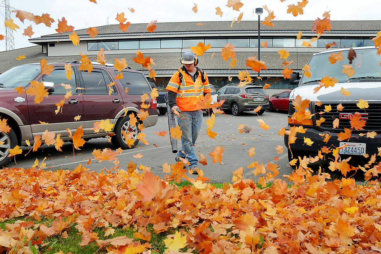 Port Angeles Parks and Recreation Department worker Easton Joslin clears leaves from the parking lot in front of Port Angeles City Hall. As autumn foliage passes its peak of color across the North Olympic Peninsula, so follows the inevitable falling of leaves across the landscape. (Keith Thorpe/Peninsula Daily News)