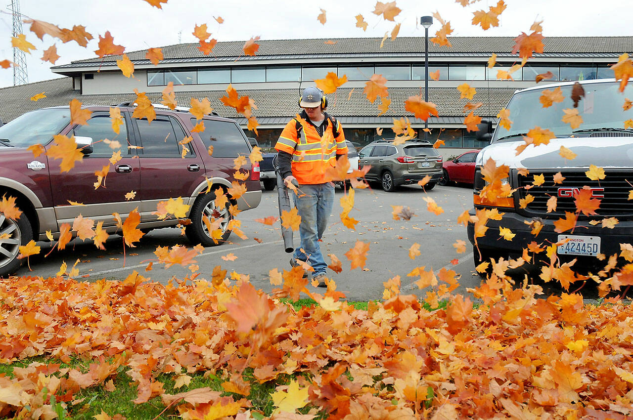 Port Angeles Parks and Recreation Department worker Easton Joslin clears leaves from the parking lot in front of Port Angeles City Hall. As autumn foliage passes its peak of color across the North Olympic Peninsula, so follows the inevitable falling of leaves across the landscape. (Keith Thorpe/Peninsula Daily News)