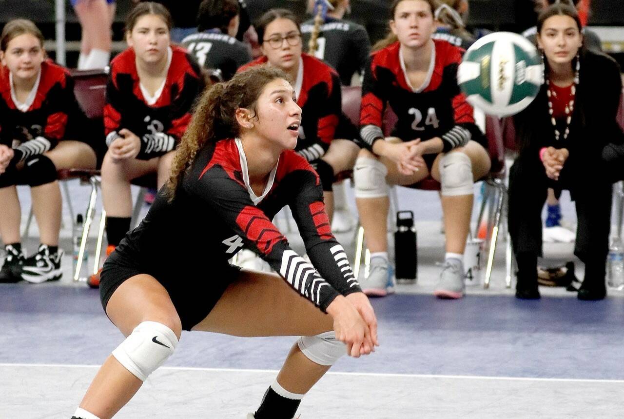 Neah Bay’s Angel Halttunen digs the ball against Mossyrock in the state semifinals Thursday in Yakima. (Roger Harnack/Cheney Free Press)