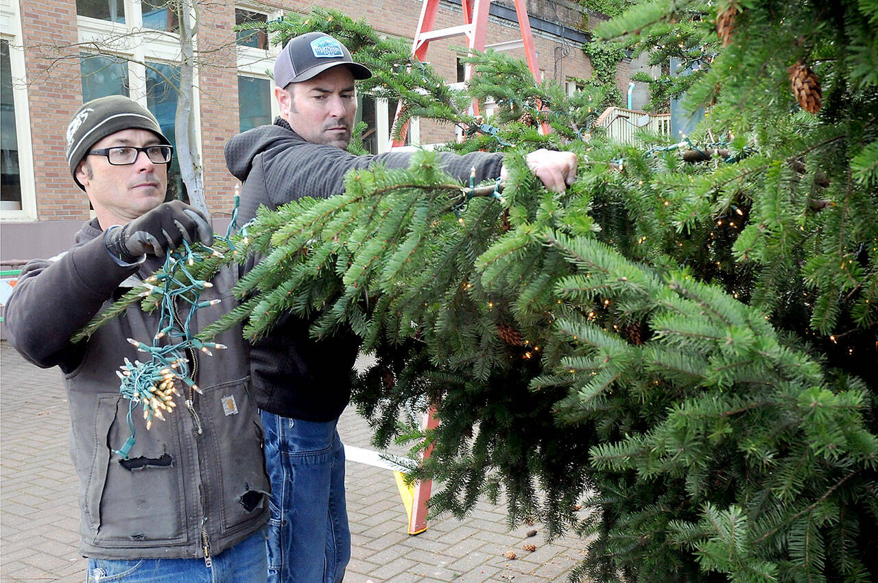 Port Angeles Parks and Recreation Department workers Eli Hammel, left, and Todd Shay string lights on the downtown Port Angeles Christmas tree at the Conrad Dyar Memorial Fountain on Tuesday in preparation for Saturdays lightning ceremony. (KEITH THORPE/PENINSULA DAILY NEWS)