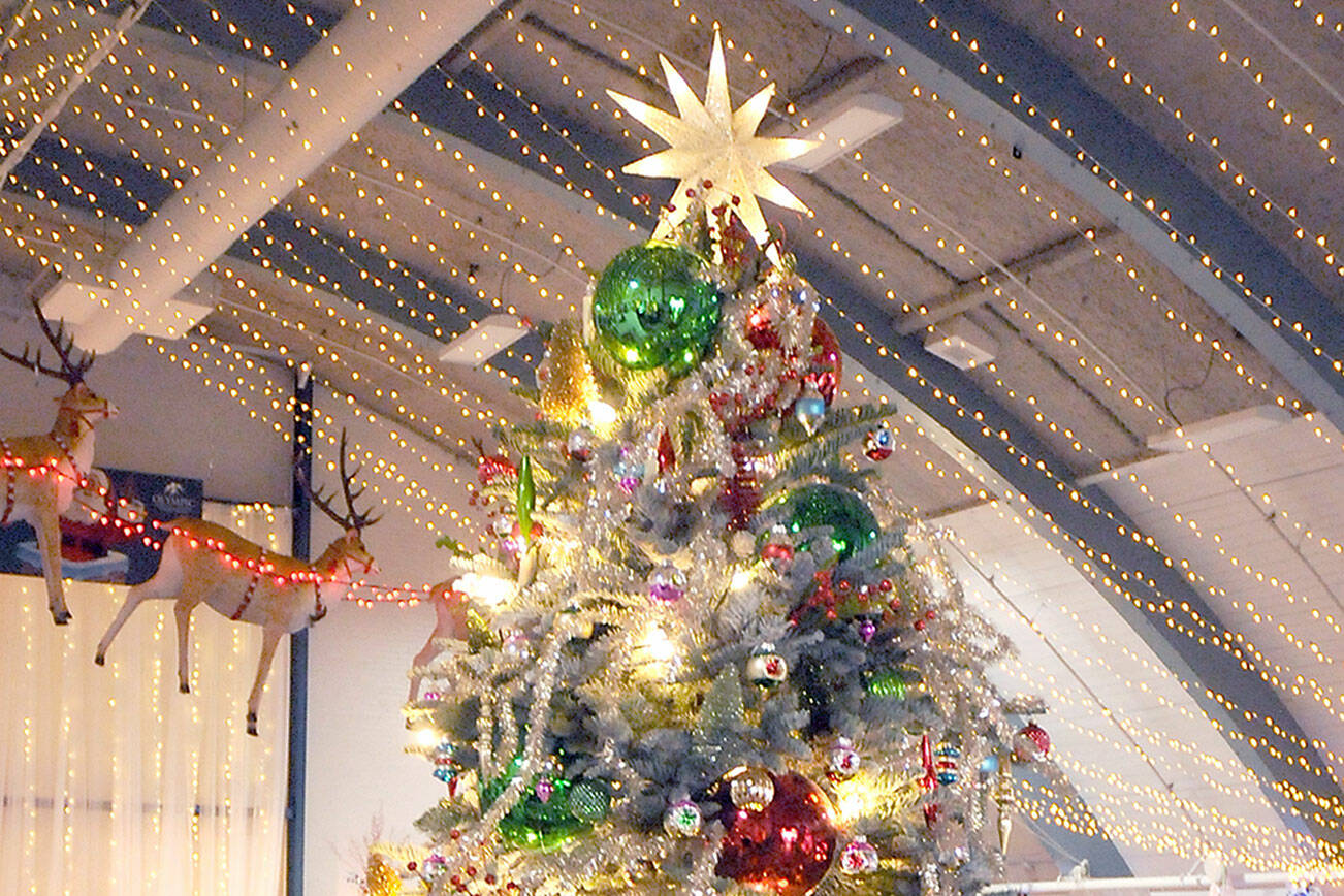 A decorated Christmas tree titled “Take Me Back” stands at Vern Burton Community Center in Port Angeles on Saturday after fetching the top bid of $7,500 offered by the Jamestown S’Klallam Tribe during Saturday night’s Festival of Trees gala auction. The tree, designed by Staci Politik and sponsored by Applebee’s Restaurant, included a $2,000 premium gift certificate for home furnishings from Angeles Furniture. More than 40 trees were auctioned off on Friday as a benefit for the Olympic Medical Center Foundation. (Keith Thorpe/Peninsula Daily News)