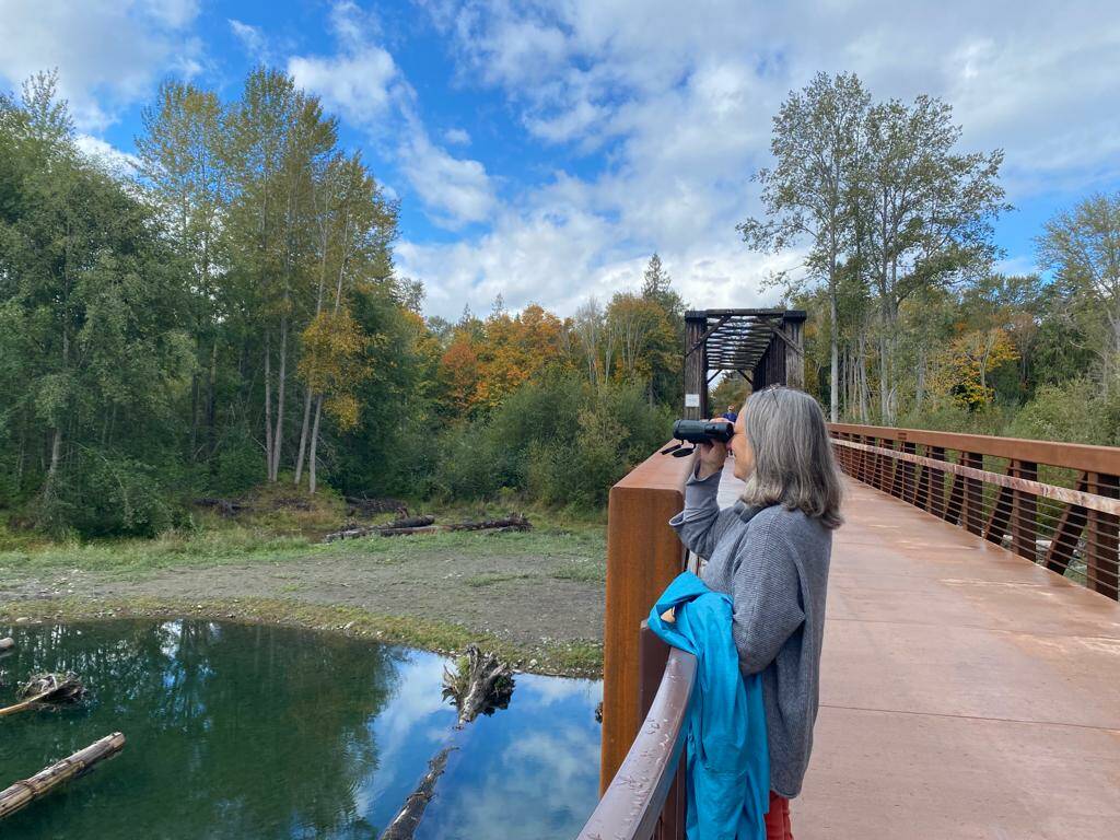 A visitor to the Dungeness River Nature Center uses binoculars donated by the family of Isaac Smith that bears on its strap a patch that honors the memory of the Sequim youth. (Teresa Smith)