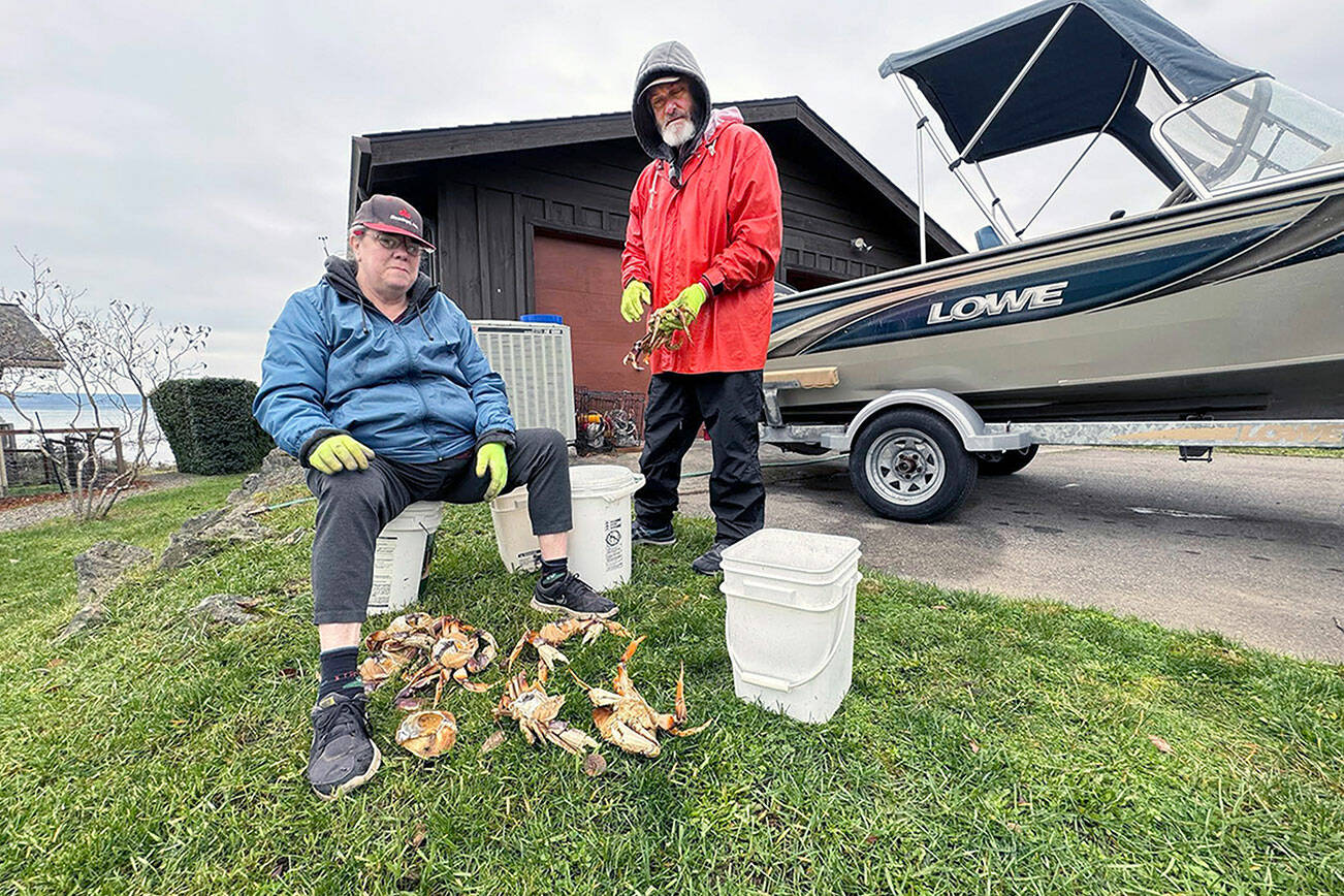 Sue Ridder and husband Johnny from Vancouver, visiting relatives in Port Townsend, start cleaning some of the 13 Dungeness crab they caught in Port Townsend Bay on Wednesday. (Steve Mullensky/for Peninsula Daily News)