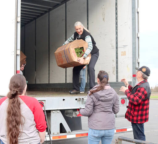 Judy Tordini, top, helps unload a bundle of six wreaths from a truck that arrived Wednesday afternoon at the Church of Latter-Day Saints parking lot on Monroe Road in Port Angeles. From left to right, Gwen Oden, Erin Rousos and Jim Bower were among a host of volunteers who helped receive 2,411 wreaths for local cemeteries. The wreaths from Maine will be distributed in Saturday ceremonies. (Dave Logan/for Peninsula Daily News)