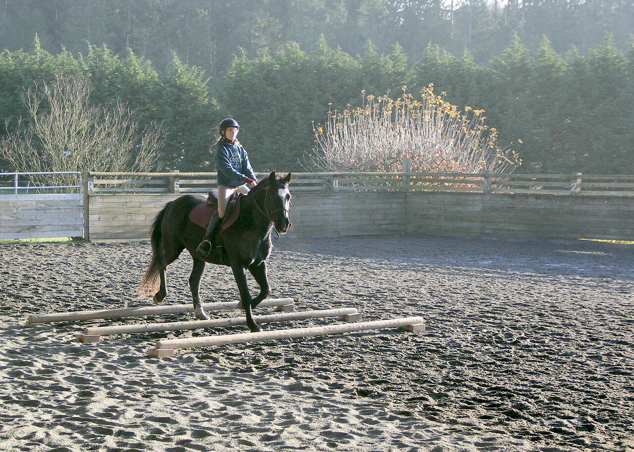 During a lesson in Freedom Farm’s indoor arena, Hadley Wolslegel goes over a set of cavetti under the guidance of farm owner and instructor Mary Gallagher. Working over cavetti, which can be set up with varying heights and poles, helps the rider learn how to maintain a sense of timing, balance and form, and aids the rider in developing the ability to evaluate distance and measuring the horse’s length of step —shortening or lengthening —when going over jumps. (Karen Griffiths/For Peninsula Daily News)