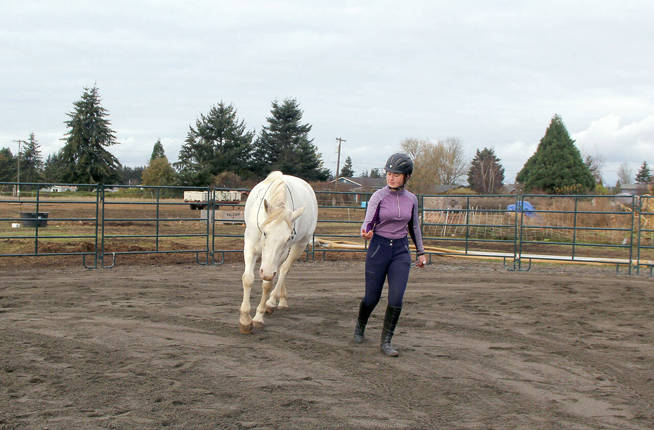 After teaching her BLM mustang Stardust to watch her body language for cues and commands Sequim’s Marissa Steffen gradually taught her to work At Liberty, which means to respond to cues without the use of physical restraints, such as a halter with lead rope or bridle and reins. (Karen Griffiths/For Peninsula Daily News)
