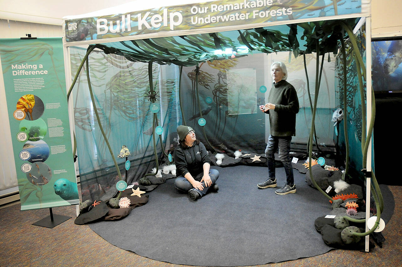 Tamara Galvan, facilities director for the Feiro Marine Life Center in Port Angeles, seated, talks about an interactive traveling bull kelp exhibit with Feiro volunteer Anni Lanigan on Thursday. (Keith Thorpe/Peninsula Daily News)
