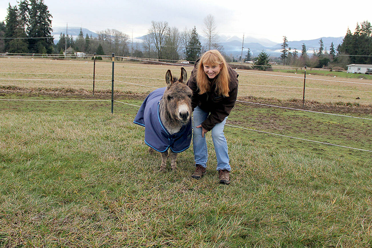 Photo submitted by Karen Griffiths
Melody Johnson with mini donkey Maximus