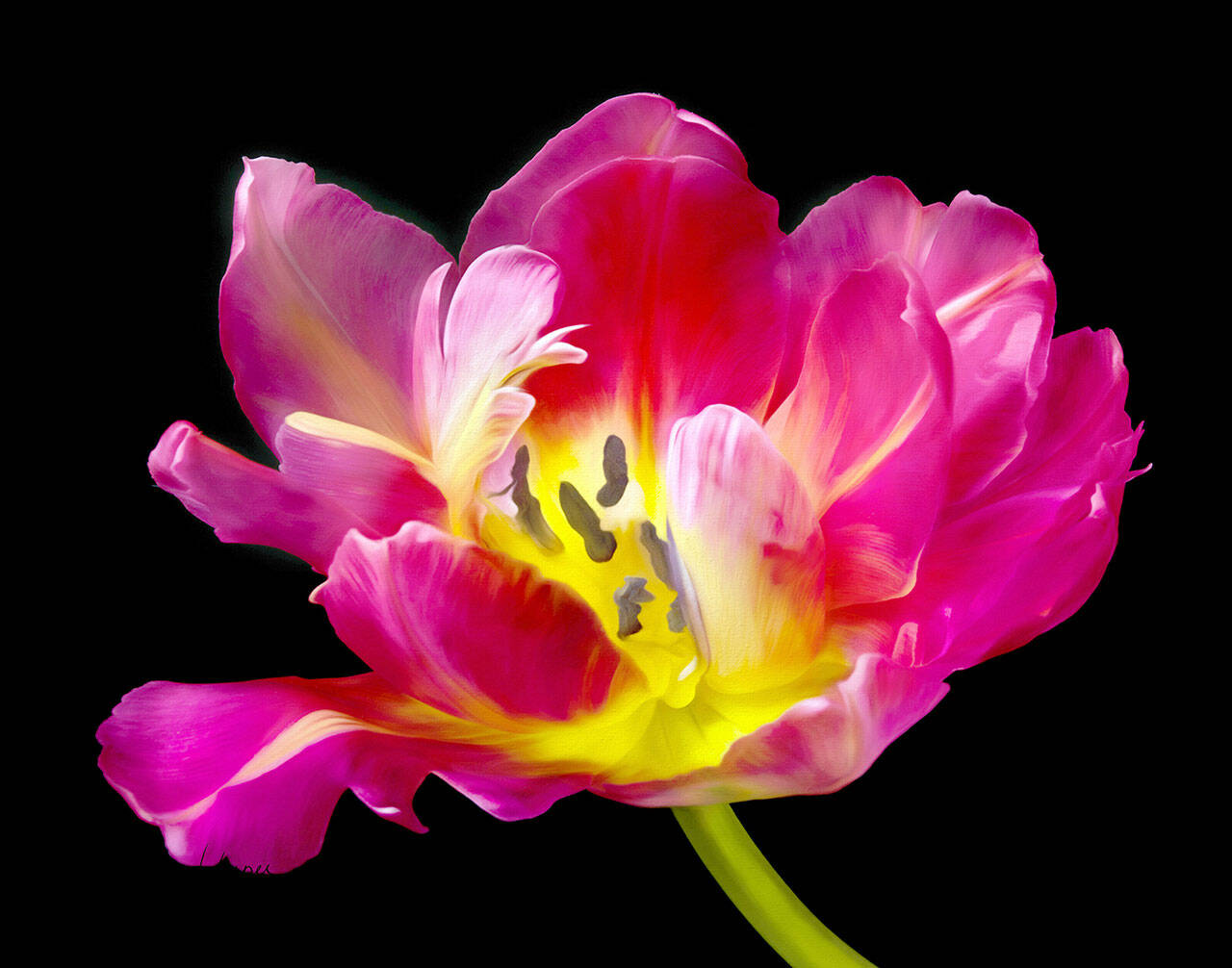 Kay Harper’s Tulip is among the artwork to be seen at Port Townsend Gallery.