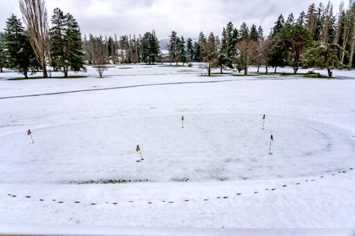 Animal tracks dot the otherwise smooth surface of the putting surface after a 2-inch blanket of snow fell on parts of Jefferson County on Thursday morning, including Discovery Bay Golf Course in Port Hadlock. (Steve Mullensky/for Peninsula Daily News)