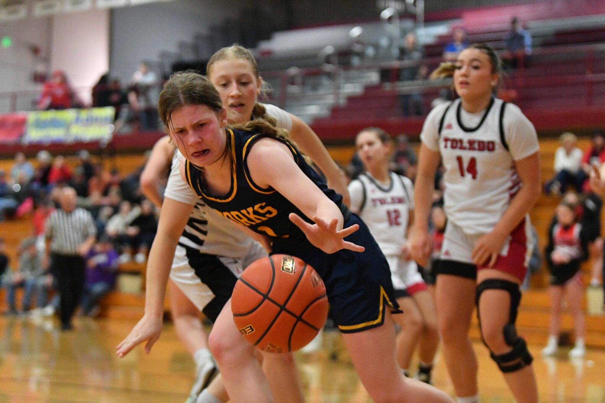 Jordan Nailon/ Daily News Forks’ Bailey Johnson tracks down a loose ball during the Spartans’ state regional sealing victory over Toledo in the Class 2B District IV Tournament Saturday at W.F. West High School.
