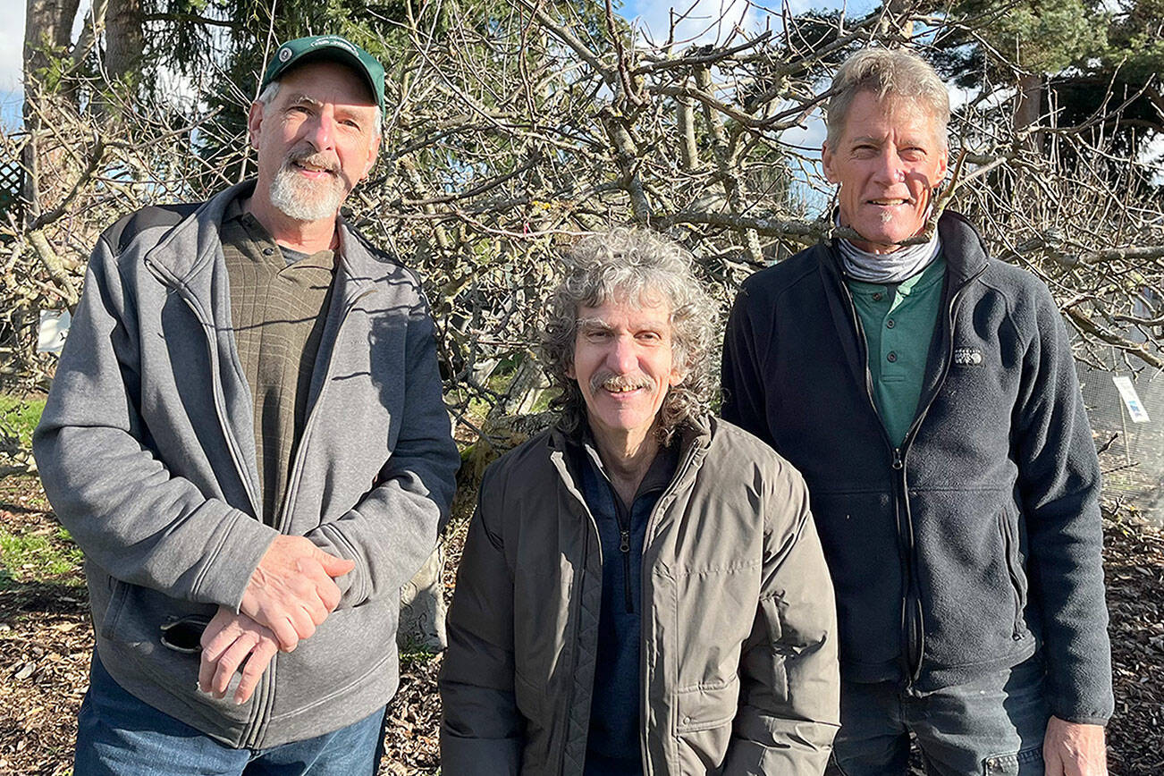 Clallam County master gardeners, from left, Keith Dekker, Tom Del Hotal and Gordon Clark will conduct a free fruit tree pruning workshop Saturday at the Woodcock Demonstration Garden in Sequim.