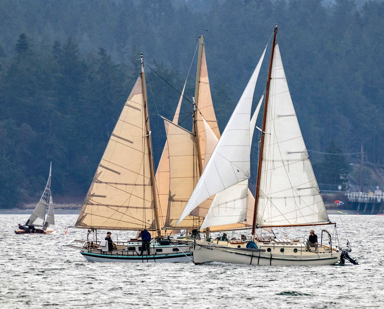 About 30 sailboats compete in the Port Townsend Sailing Association’s 33rd annual Shipwrights Regatta on Port Townsend Bay on Saturday. More of a fun event than a sailing competition, awards are given out during a pizza party afterward for the most navigationally challenged (Directional Helmet trophy) and for the “saltiest” boat and crew. (Steve Mullensky/for Peninsula Daily News)