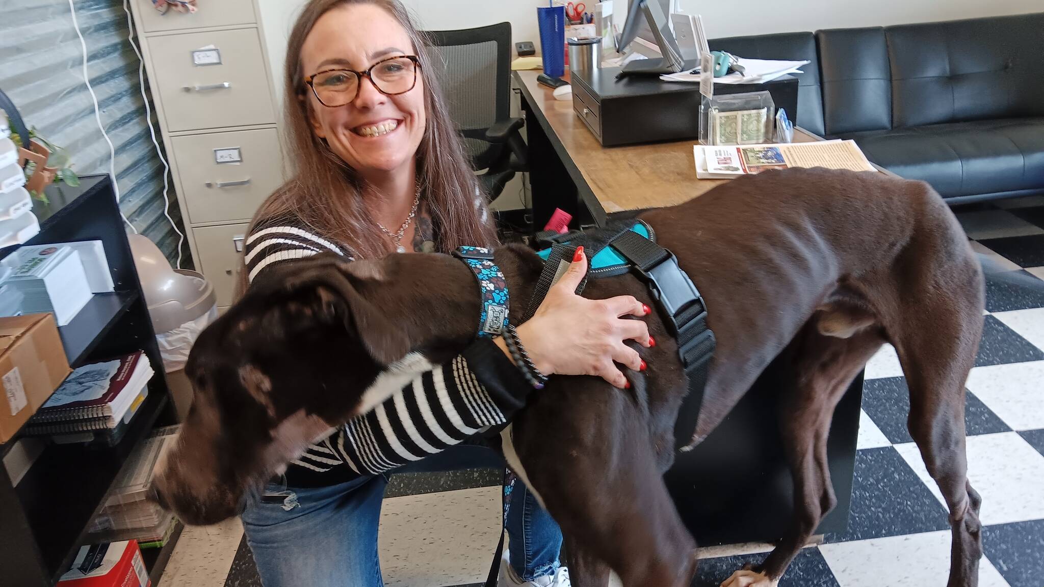 Mary Kniskern, Sonny’s Spaw and Self Wash owner, shares a moment with Casey, a Great Dane who was rescued after suffering a gunshot wound and the effects of severe hunger in February. (Welfare for Animals Guild)