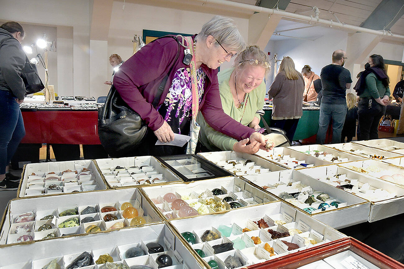 M.E. Bartholomew, left, and Jenny Schaper, both of Port Angeles, look at interesting specimens at a display table set up by Shelton-based Elemental Endeavors on Saturday at the annual Rock, Gem and Jewelry Show at Vern Burton Community Center in Port Angeles. Hosted by the Clallam County Gem and Mineral Association, the two-day exposition featured two dozen vendors selling rocks, minerals, fossils, beads, faceted gemstones, jewelry and lapidary tools, as well as live demonstrations and children’s activities. (Keith Thorpe/Peninsula Daily News)