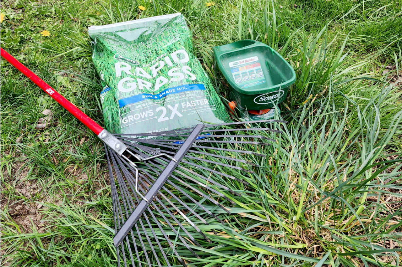 Andrew May/For Peninsula Daily News   
Now is the perfect time to lay down some rich, organic compost and rake in a high quality grass seed for a beautiful lawn come summer.