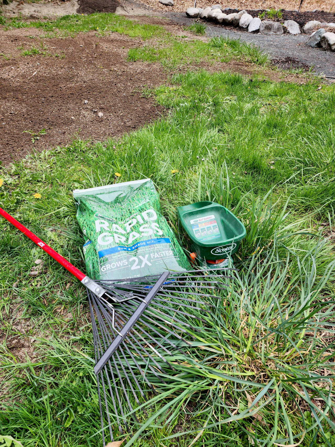 Now is the perfect time to lay down some rich, organic compost and rake in a high quality grass seed for a beautiful lawn come summer. (Andrew May/For Peninsula Daily News)