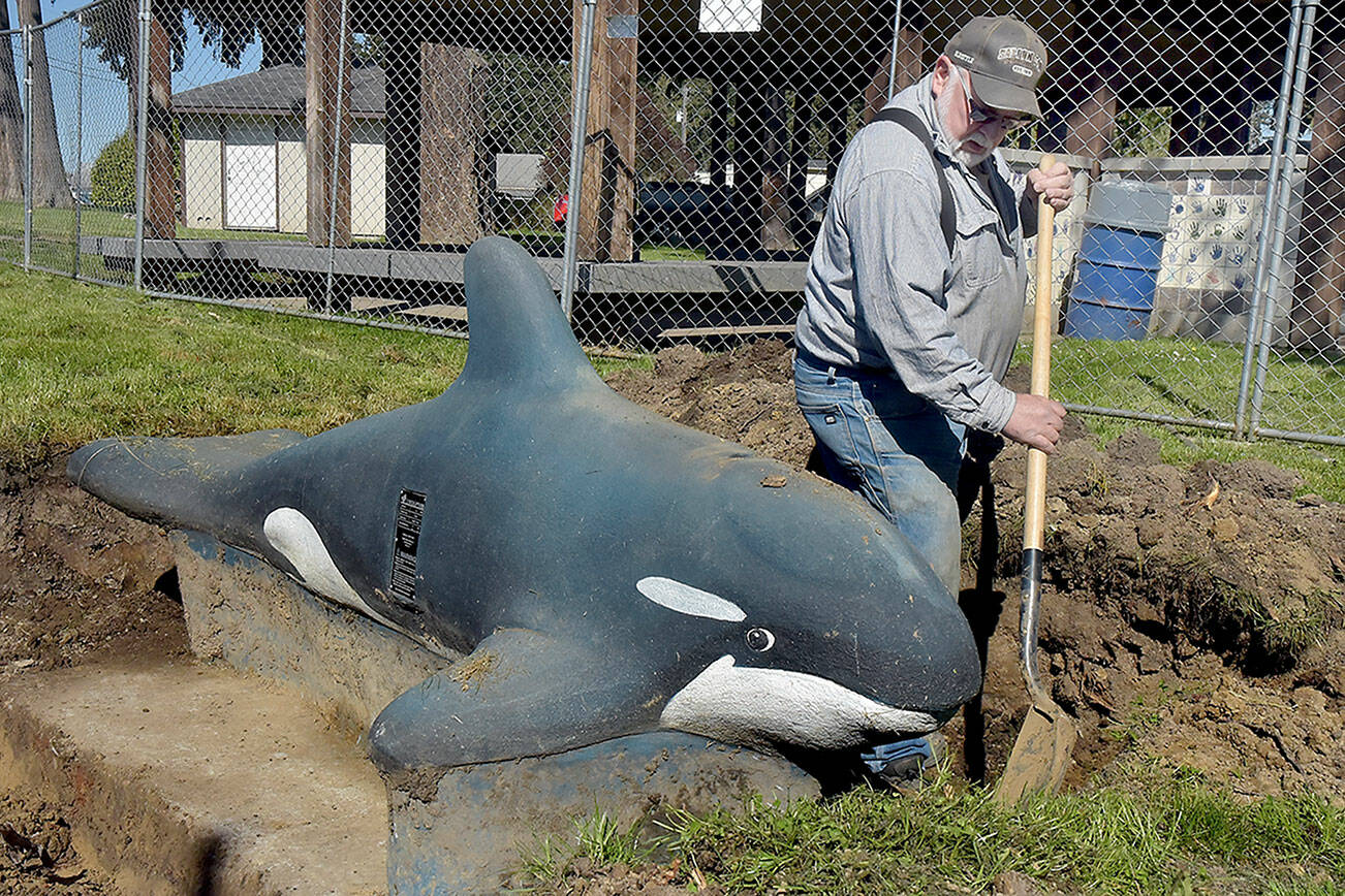 Bob Edgington of 2 Grade LLC excavating, which donated its resources, pulls dirt from around the base of an orca sculpture at the Dream Playground at Erickson Playfield on Thursday during site preparation to rebuild the Port Angeles play facility, which was partially destroyed by an arson fire on Dec. 20. A community build for the replacement playground is scheduled for May 15-19 with numerous volunteer slots available. Signups are available at https://www.signupgenius.com/go/904084DA4AC23A5F85-47934048-dream#/. (Keith Thorpe/Peninsula Daily News)