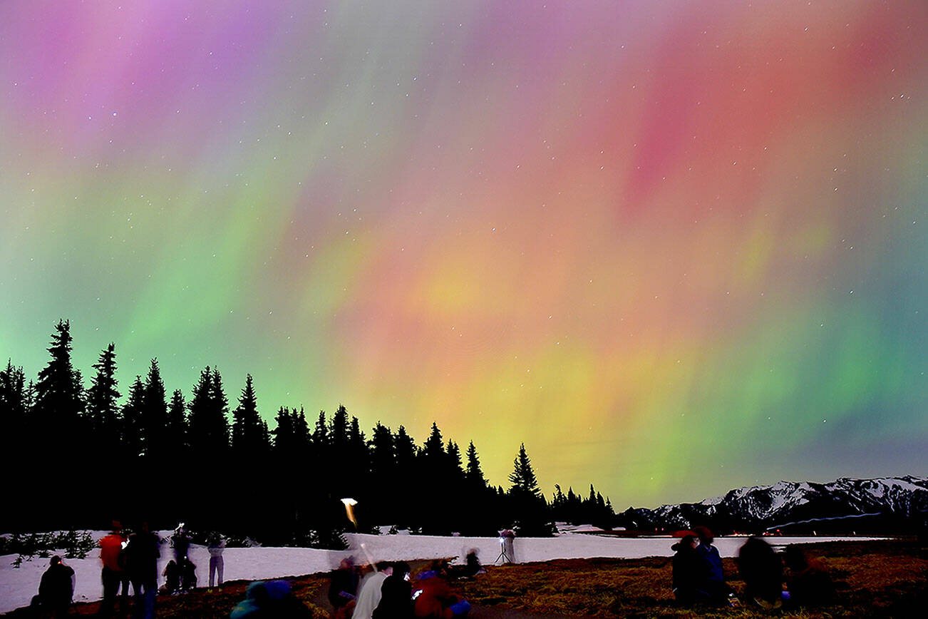 The aurora borealis, also known as the Northern Lights, illuminate the sky on Friday night into Saturday morning at Hurricane Ridge in Olympic National Park south of Port Angeles. A G5 magnetic storm created conditions for the aurora to be visible to large portions of North America, including hundreds of people who ventured to the ridge to watch the geomagnetic spectacle. (Keith Thorpe/Peninsula Daily News)