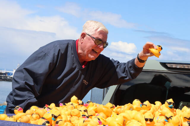 Gary Reidel, representing Wilder Toyota, plucks the winning duck from a truck. Wilder sponsored the winners prize of a 2024 Toyota Corolla. And the winner is Sarah Aten of Port Angeles. Her response was, “That’s amazing, that’s amazing.” There was 28,764 ducks sold this year as of race day. The all-time high was back in 2008 when over 36,000 were sold. (Dave Logan/For Peninsula Daily News)