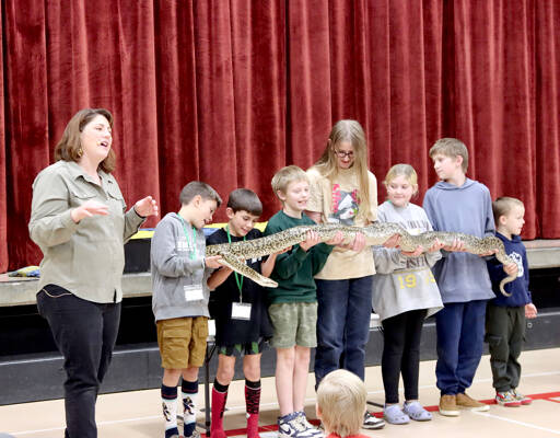April Jackson, The Reptile Lady, speaks while students hold a 12-foot Burmese python named Mr. Pickles at Jefferson Elementary School in Port Angeles on Friday. The students, from left to right, are Braden Gray, Bennett Gray, Grayson Stern, Aubrey Whitaker, Cami Stern, Elliot Whitaker and Cole Gillilan. Jackson, a second-generation presenter, showed a variety of reptiles from turtles to iguanas. Her father, The Reptile Man, is Scott Peterson from Monroe, who started teaching about reptiles more than 35 years ago. (Dave Logan/for Peninsula Daily News)