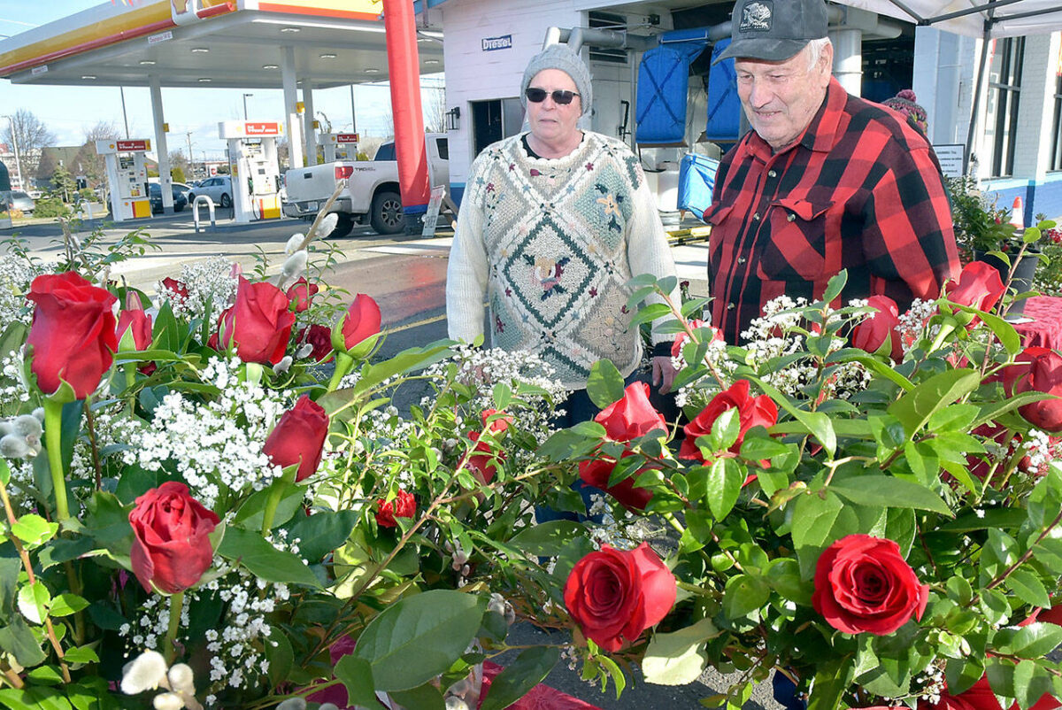 Valentine’s roses | Peninsula Daily News
