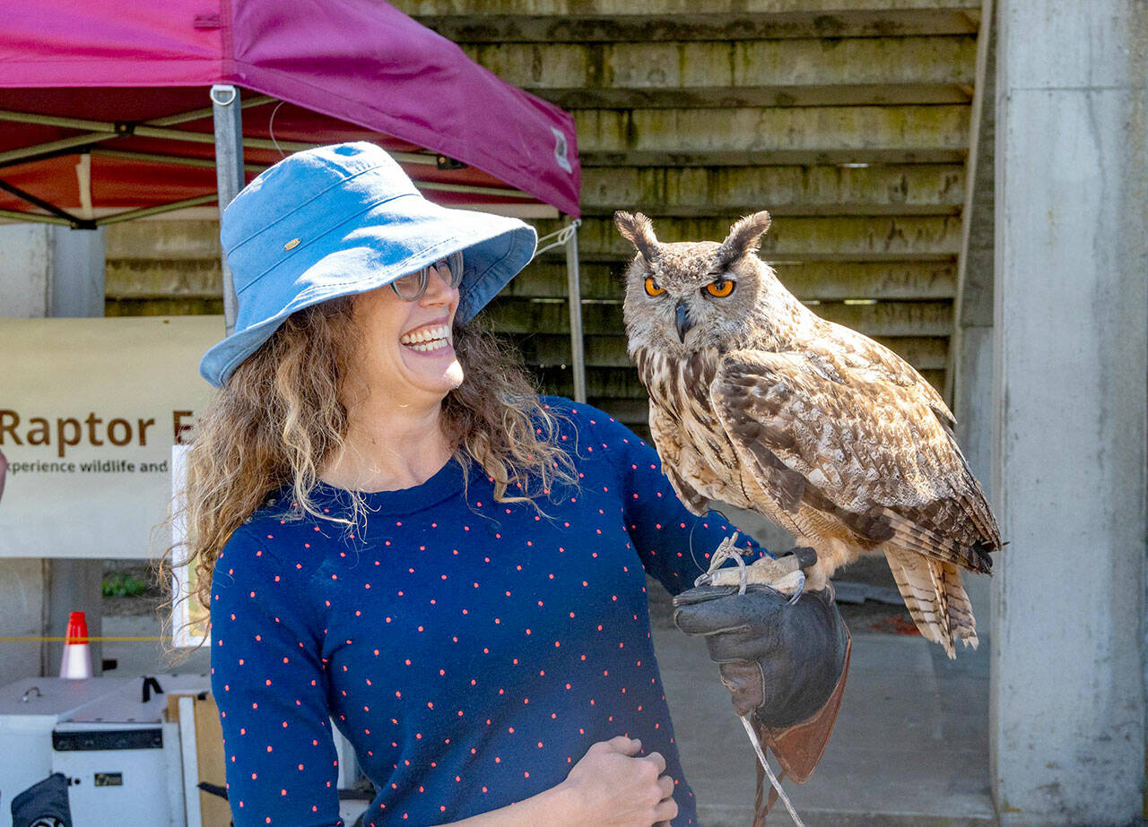 Abby Dugle of Sebastopol, Calif., holds Marvin, a Eurasian eagle owl, during a Raptor Experience at the Jefferson County Fair on Friday. Dugle paid $50 for the experience of holding the raptor that is used as a stand-in for great horned owls due to their resemblance. Dugle described the experience as wonderful and exciting. The Raptor Experience will be showing other raptors today and Sunday during the fair. (Steve Mullensky/for Peninsula Daily News)