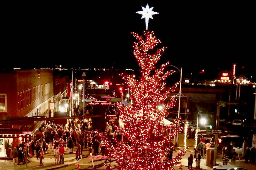The 34-foot tree aglow with nearly 20,000 lights will adorn downtown Port Angeles throughout the holiday season. (Dave Logan/For Peninsula Daily News)