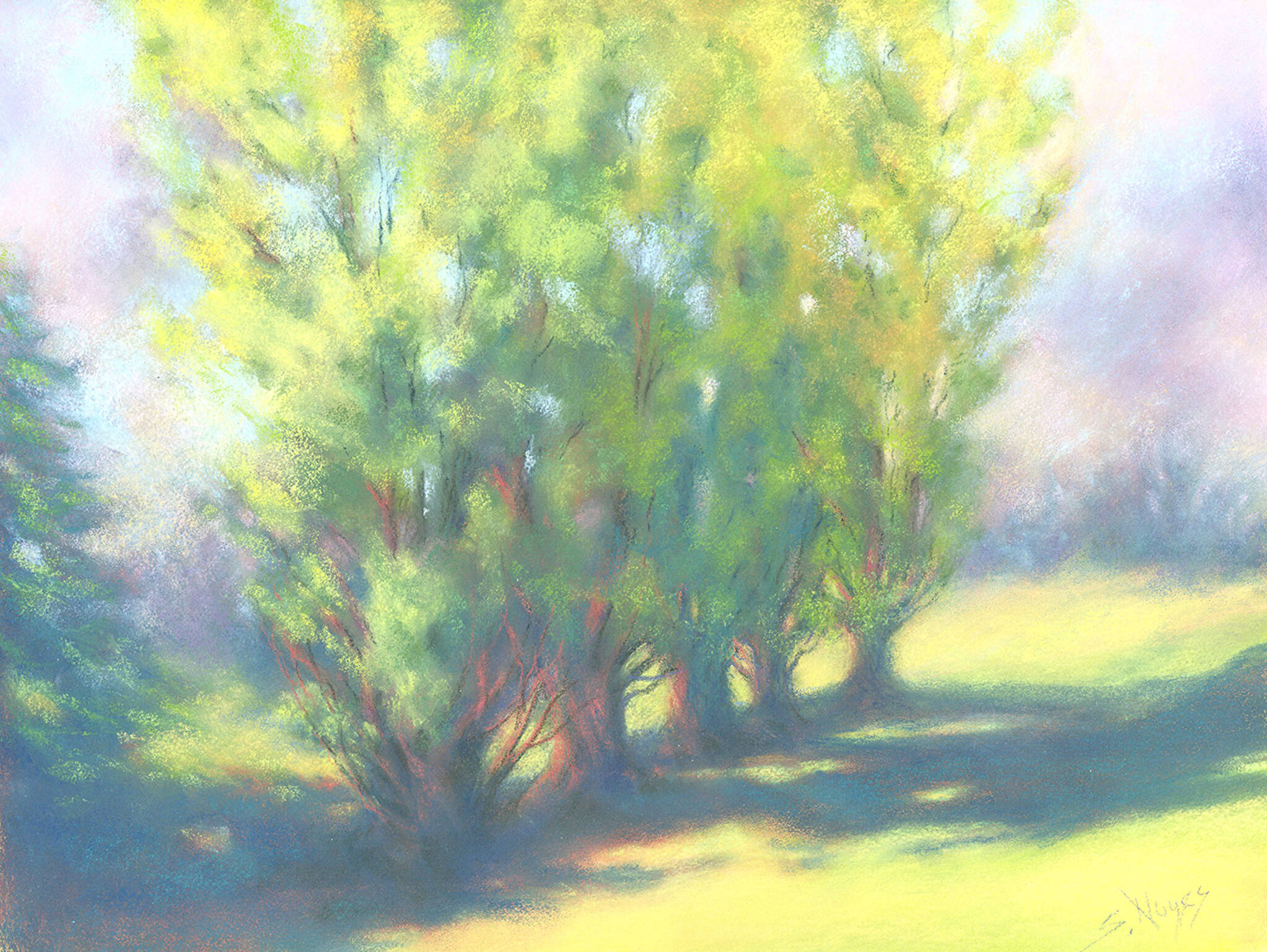 Long Shadows, a painting in pastels by Suzan Noyes, will be auctioned off to benefit the Olympic Peninsula Art Association during Fridays Art Walk in Sequim. Early bids can be placed at the A. Milligan Gallery.