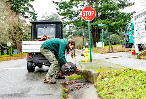 Patrick Zolpi-Mikols, a park aide with Fort Worden State Park, gathers and removes leaves covering the storm drains after an atmospheric river rainstorm early Wednesday morning in Port Townsend. A flood warning was issued by the National Weather Service until 11:11 a.m. today for the Elwha River at the McDonald Bridge in Clallam County. With the flood stage at 20 feet, the Elwha River was projected to rise to 23.3 feet late Wednesday afternoon and then fall below flood stage just after midnight. (Steve Mullensky/for Peninsula Daily News)