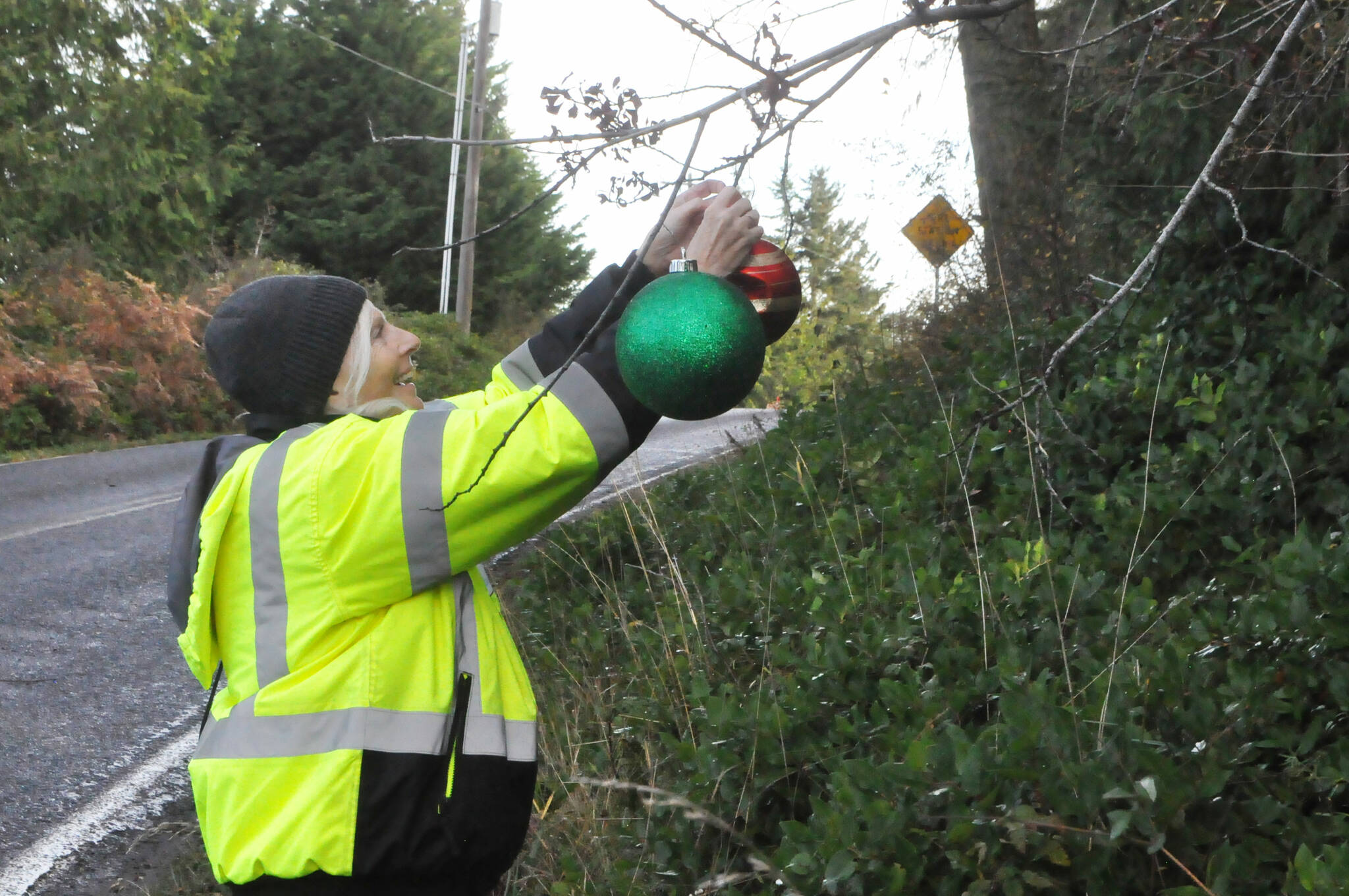 Clallam PUD staff plan to place about 6,200 feet of electric wire underground along Diamond Point Road, shown here in 2024 with Debbie Long placing ornaments prior to Christmas. The $900,000 project would eliminate tree-related outages, reduce wildfire risk and improve voltage and capacity along Diamond Point Road, PUD staff said. (Matthew Nash/Olympic Peninsula News Group file)
