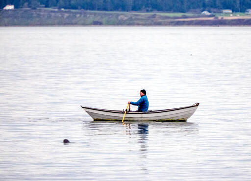 A seal pops its head out of the water as a dory rower propels his craft in the calm waters of the Salish Sea. Whidbey Island is in the distance. Todays high temperature is forecast to be in the low 50s with partly cloudy skies. Rain is set to return this weekend. For more weather information, see Page B8. (Steve Mullensky/for Peninsula Daily News)