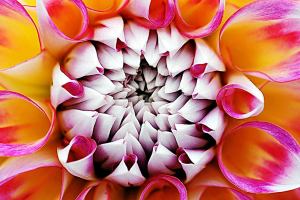 ENTERTAINMENT BRIEFS: 16th annual Summer Studio Tour … and other items