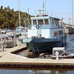 Panel discusses moorage rated in Port Angeles, Sequim