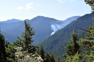 The Cox Valley Fire is shown at mile marker 11 on Hurricane Ridge Road on Wednesday morning. (National Park Service)