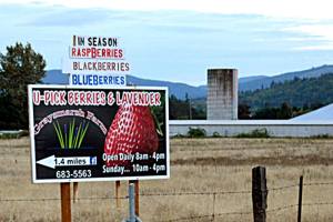 Sequim City Council votes down zoning code updatesSequim City Council votes down comprehensive plan update