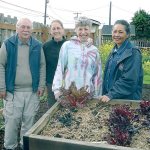 Veteran Master Gardeners, from left, Bob Cain, Laurel Moulton, Jeanette Stehr-Green and Audreen Williams will lead a one-hour walk through the Fifth Street Community Garden, 328 East Fifth St., Port Angeles, at noon today.