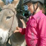 Clallam County Fair ends today with demolition derby, community talent show