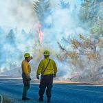 Firefighters with Clallam County Fire District No. 2 respond to a brush fire on Power Plant Road west of Port Angeles on Tuesday. (Jay Cline/Clallam County Fire District No. 2)