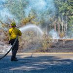 The brush fire on Power Plant Road west of Port Angeles on Tuesday caused state Highway 112 to be blocked for about an hour. (Jay Cline/Clallam County Fire District No. 2)