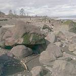 The beach lake restoration site before restoration. (Jamie Michel/Coastal Watershed Institute)