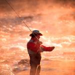 A fly-fisherman casts his line as early morning mist rises above the Boise River, east of Boise, Idaho. Idaho, Oregon and Washington have shut down online sales of hunting and fishing licenses amid concerns a vendor&rsquo;s computer system has been hacked and personal information is at risk. (Troy Maben/The Associated Press)