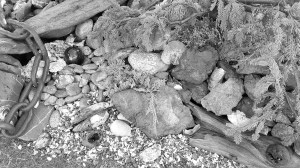 Andrew May/for Peninsula Daily News                                A peek at the display at the Clallam County Fair in Port Angeles last weekend.
