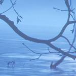 Boldly go … celebrate 50 years of Star Trek with Sequim Art Walk